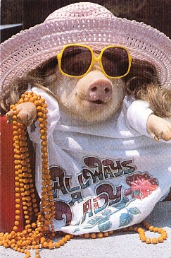 Featured is a 1981 postcard image of a "Miss Piggy" sporting LOTS of standard women's accessories ... the hat, the sunglasses, the beads, the designer T-Shirt!  Photo by George Dudley.  The original unused postcard is for sale in The unltd.com Store.